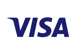 betaal icoon van visa